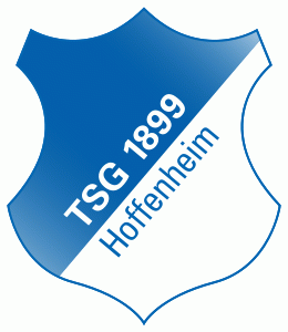 TSG 1899 Hoffenheim Pres Primary Logo iron on transfers.gif